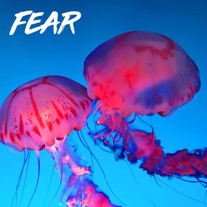 Fear