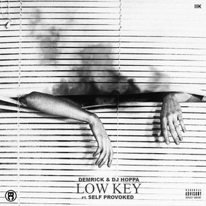 Low Key(feat. Self Provoked) (Explicit)