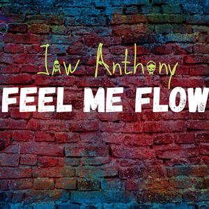 Feel Me Flow (Explicit)