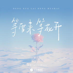 等雪来等花开