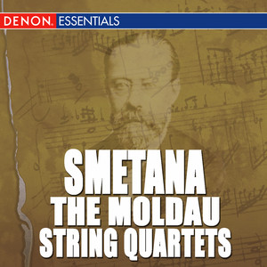 Quartet for Strings No. 2 in D Minor - III. Allegro non piu moderato, ma agitato e con fuoco