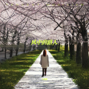 风中的路人 (DJ版)