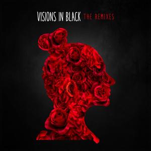 Visions In Black (The Remixes) [Explicit]