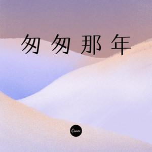 匆匆那年 (DJ版)