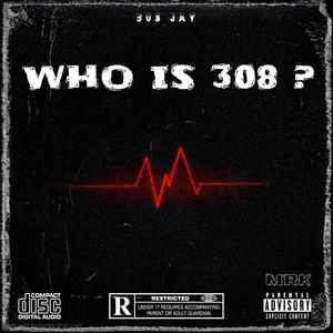 Who is 308 ? (feat. Trapout, 308 Mike, 308 quan & SFG Jay) [Explicit]