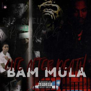 Hit 'Em Up (Explicit)