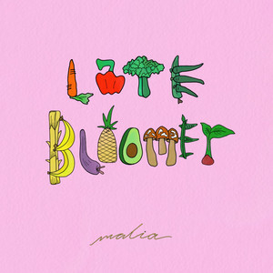 Late Bloomer (Explicit)