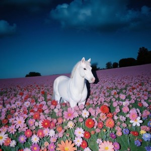 AFTERPARTY ROLA (Explicit)