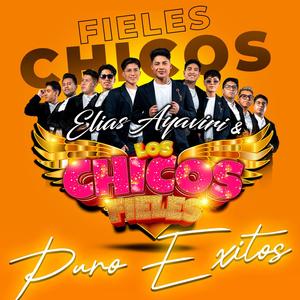 Exitos en Vivo (En vivo)