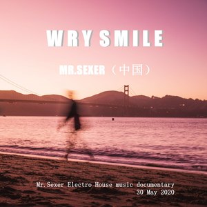Wry Smile (Radio Mix)