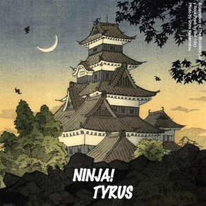 NINJA!