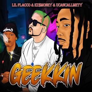 GEEKIN (Explicit)