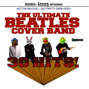 The Ultimate Beatles Cover Band - Rocky Raccoon