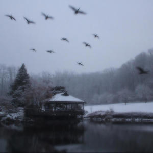 STRUCTURAL DAMAGE (feat. lonewitch) (Explicit)