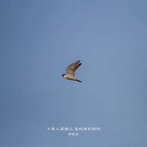 十年人间烟火，及时来到的你