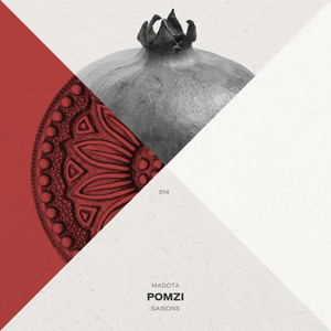 Pomzi