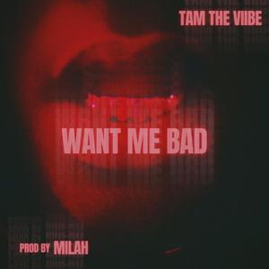 Want Me Bad (Explicit)