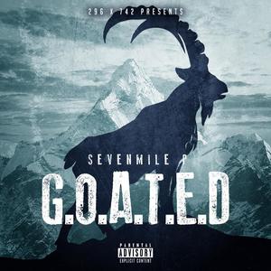 Us Vs the World (feat. Tiara Porter, Riicardo, Riicardo & Mante Carlo) (Explicit)