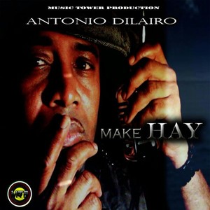 Make Hay - Single