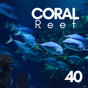 Music to Quiet Your Mind