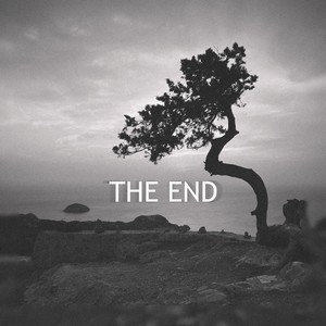 THE END