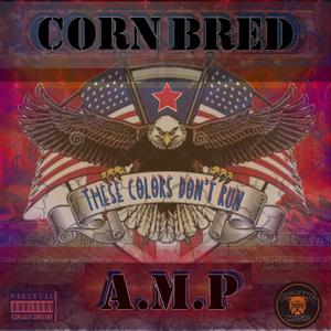 These Colors don't run (feat. A.M.P) (Explicit)