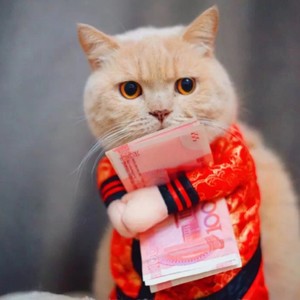 生日快乐