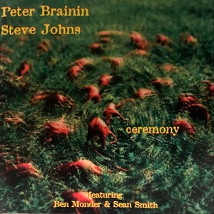 Ceremony (feat. Ben Monder & Sean Smith)