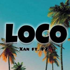 LOCO (feat. pz)