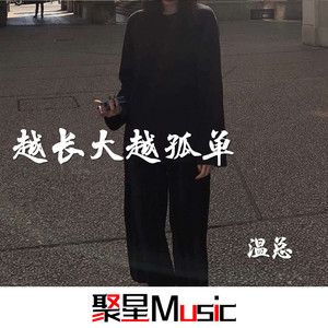 昂首挺胸 (Remix) - 温总封面