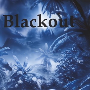 Blackout 2007