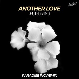 Another Love (Paradise Inc. Remix) [Explicit]