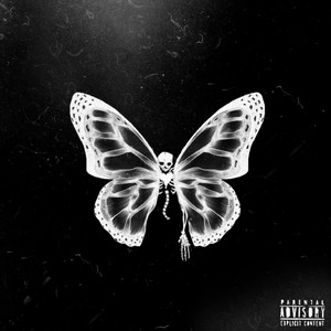 Butterfly (Explicit)