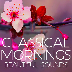 Classical Mornings Beautiful Sounds