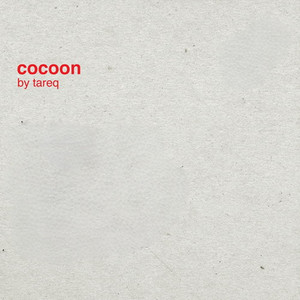 I Saw You in My Dream