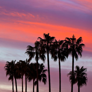 הסוף התחיל מפה