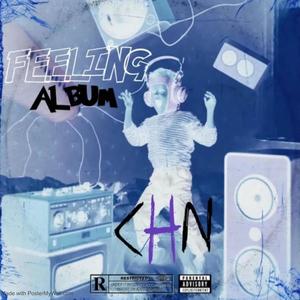 Feeling album (Explicit)