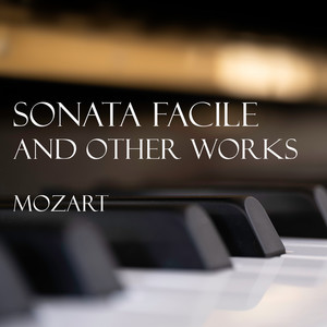 Symphony No. 33 in B-Flat Major, K. 319 - Mozart: Symphony No. 33 in B-Flat Major, K. 319: 2b. Andante moderato - Pt. 2