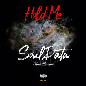 Hold me (Original Mix)