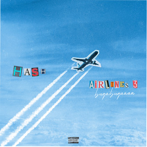 Hash Airlines 3