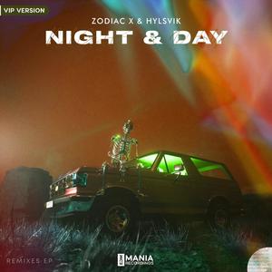 Night & Day (VIP Mix)