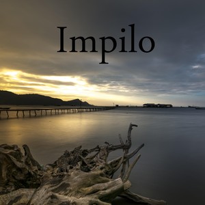 Impilo