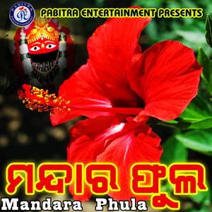 Mandara Phula