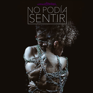 No Podía Sentir (Explicit)