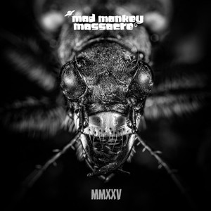 MMXXV