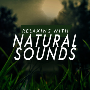 Relaxing with Natural Sounds