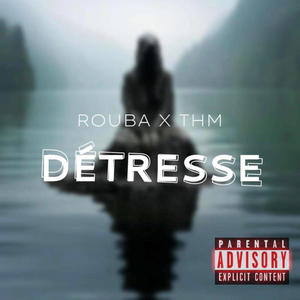 Détresse (feat. Thm) [Explicit]