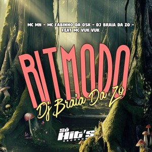 RItmo do Braia da ZO (Explicit)