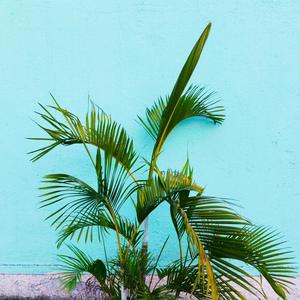 Cada Día Te Quiero Más