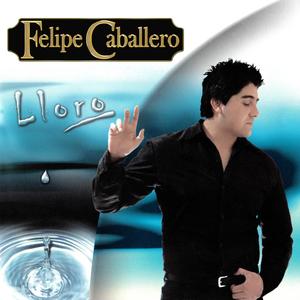 Necesito un nuevo amor